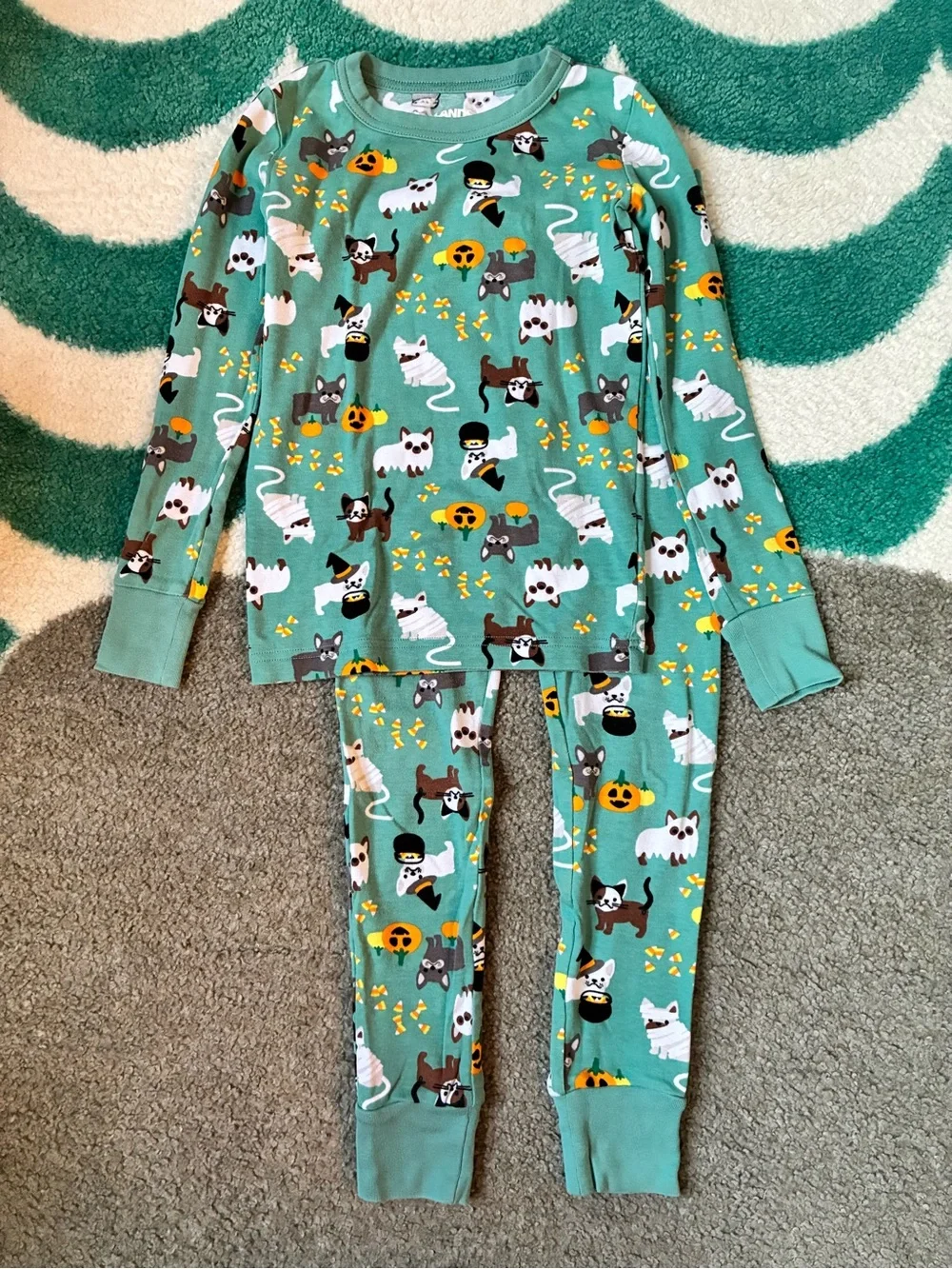 Lands’ End Snug Fit Halloween Pets PJ Set (Teal Shadow) Size 8